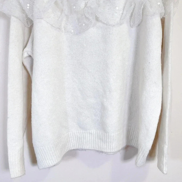 Zara Sequin Ruffle Crew Neck Oversized Sweater - Picture 12 of 13